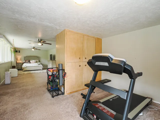 Exercise area featuring light colored carpet, a textured ceiling, and a ceiling fan