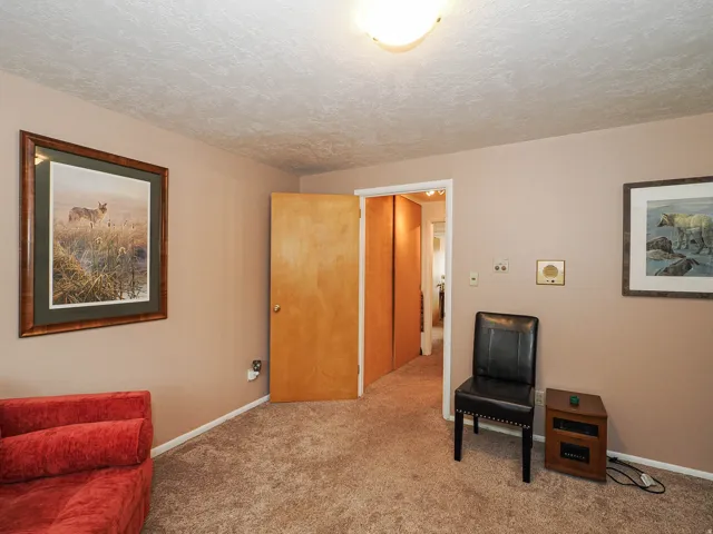 Sitting room with carpet and a textured ceiling