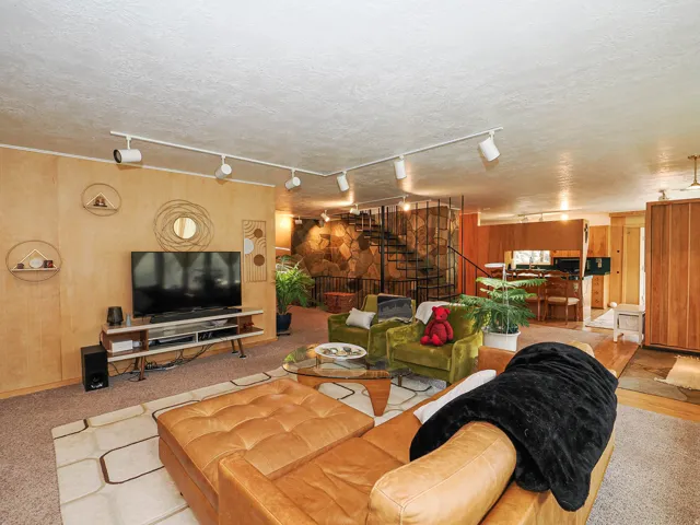 Living area with rail lighting, a textured ceiling, and carpet flooring