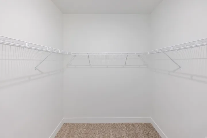 U-shaped closet featuring white wire shelving and neutral-toned carpeting