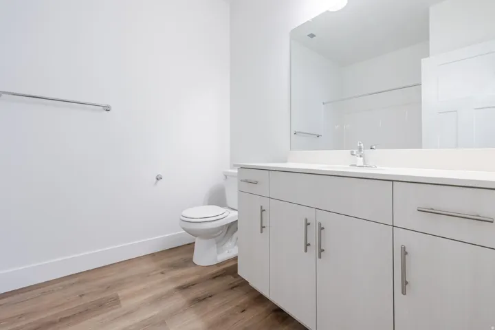 Wood-finish flooring, white vanity with ample storage, integrated sink, large mirror, and contemporary fixtures
