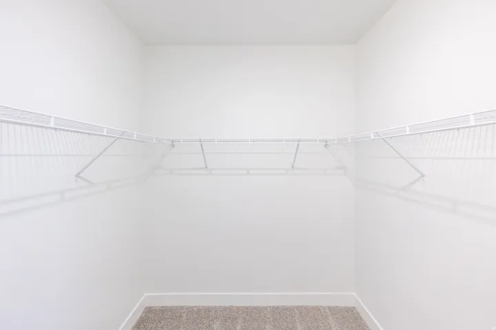 Walk-in closet featuring wire shelving and neutral-toned carpeting