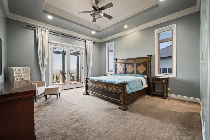 Bedroom with crown molding, a raised ceiling, access to exterior, carpet, and ceiling fan