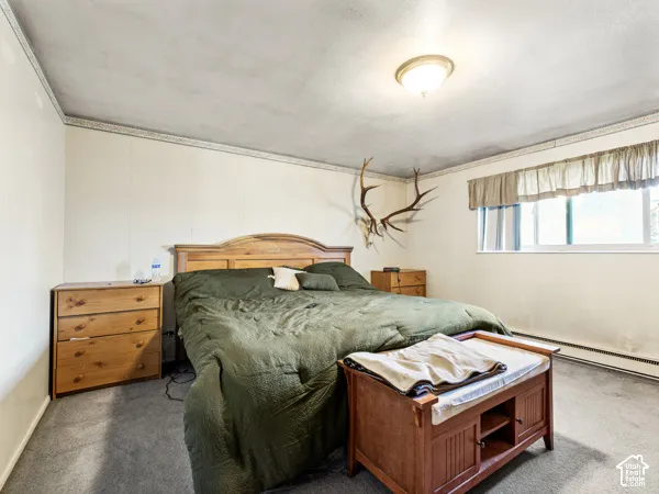 Bedroom with dark colored carpet and a baseboard radiator