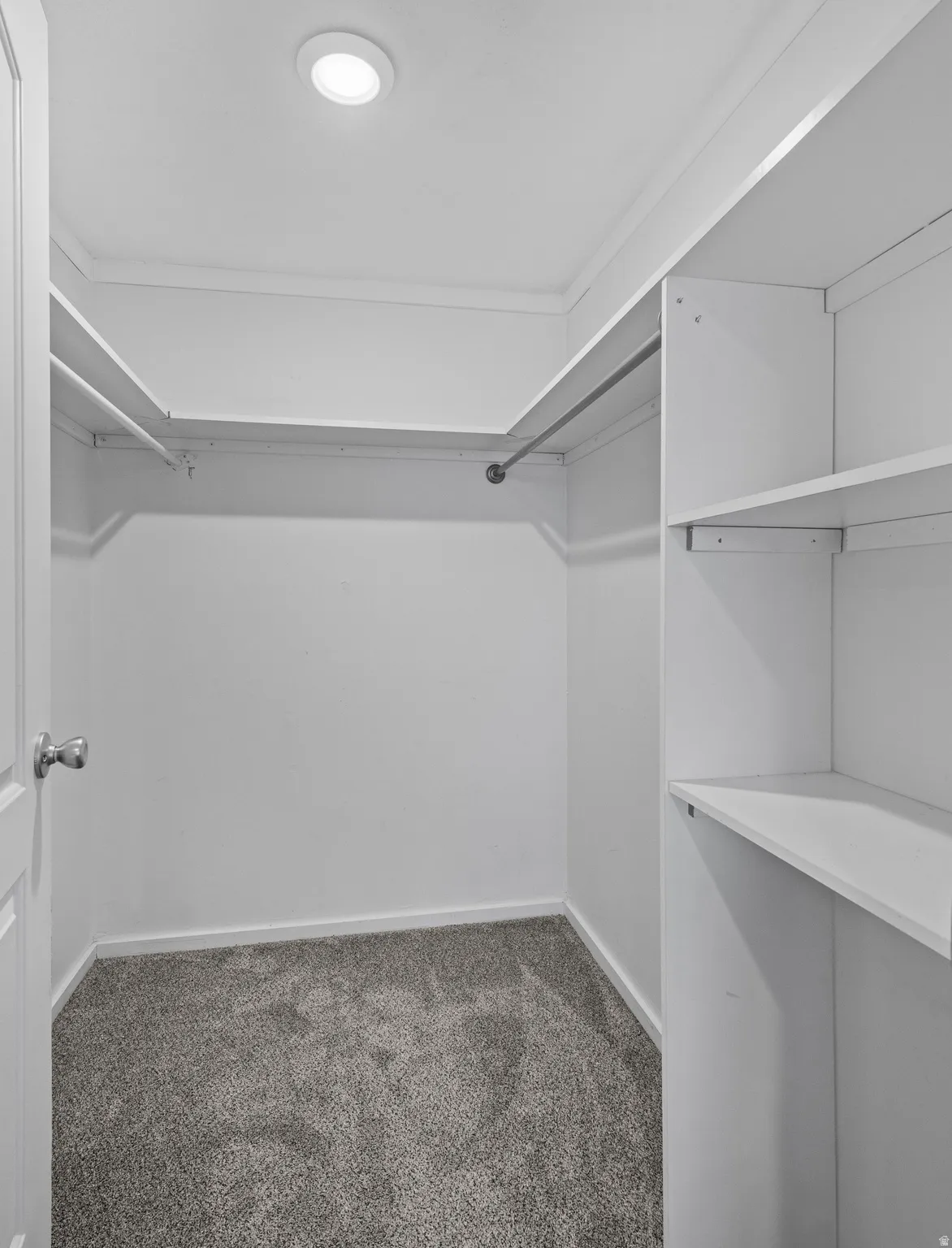 Walk in closet featuring dark colored carpet