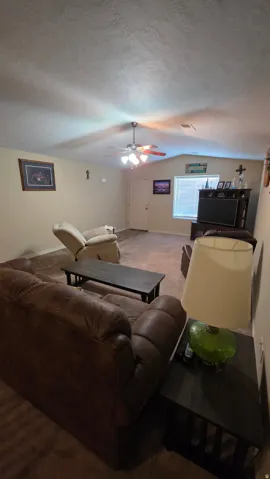 Living room featuring carpet flooring and a ceiling fan