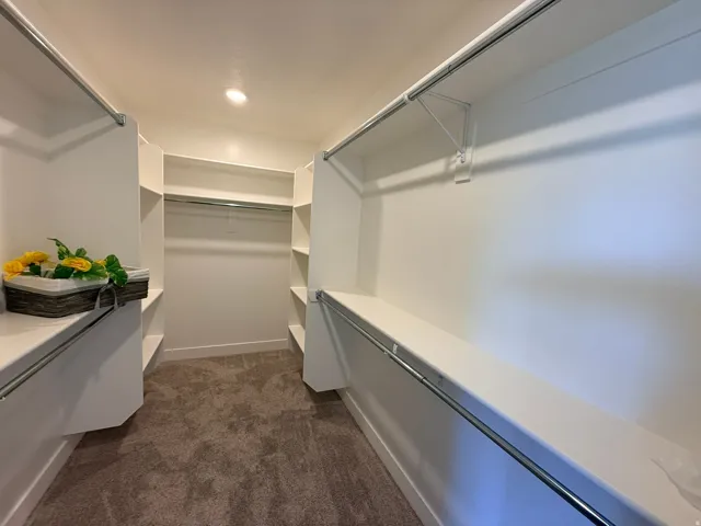 Walk in closet with dark colored carpet
