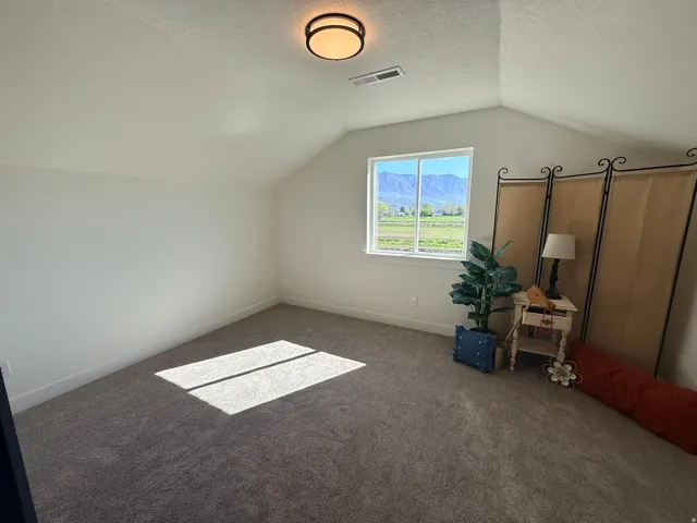 Bonus room with a textured ceiling and carpet flooring
