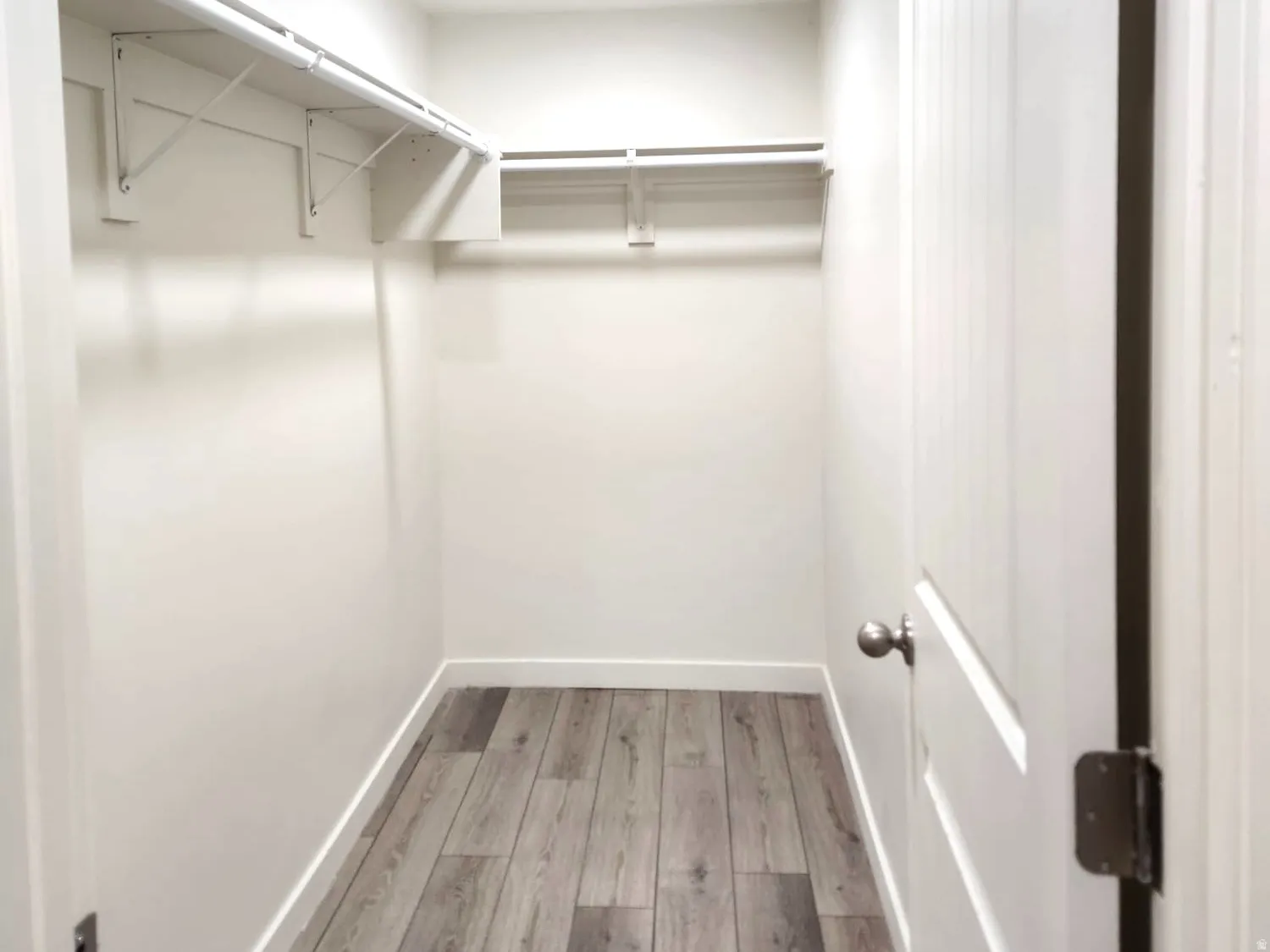 Basement studio walk in closet featuring light wood-style flooring