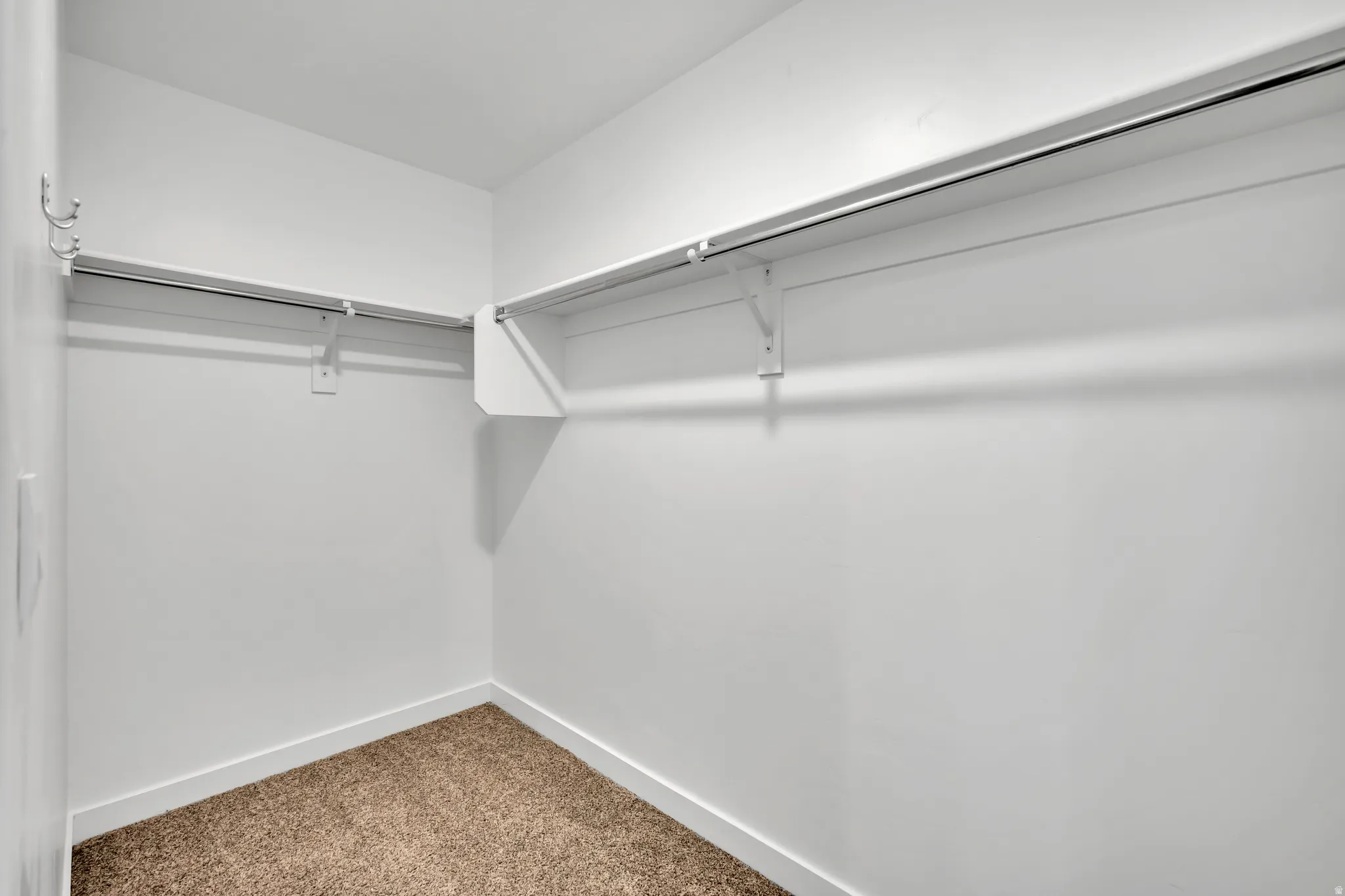 Walk in closet featuring carpet