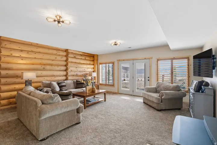 Living area with rustic walls and carpet flooring