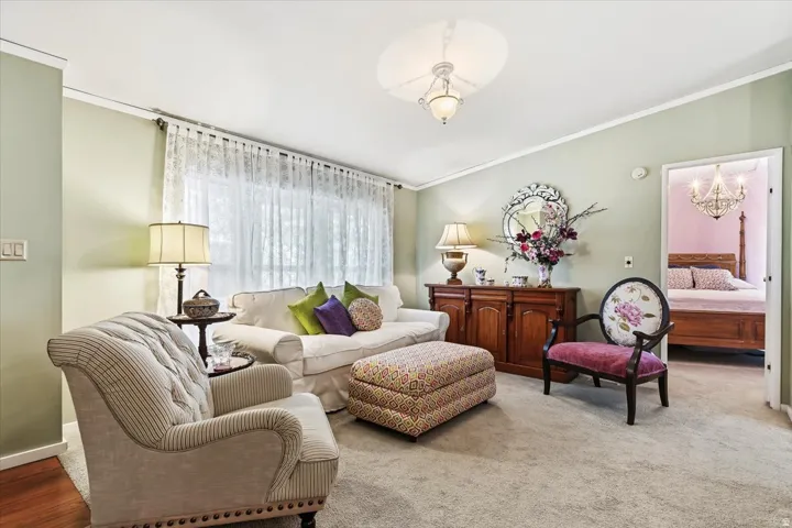 Living room with crown molding and carpet