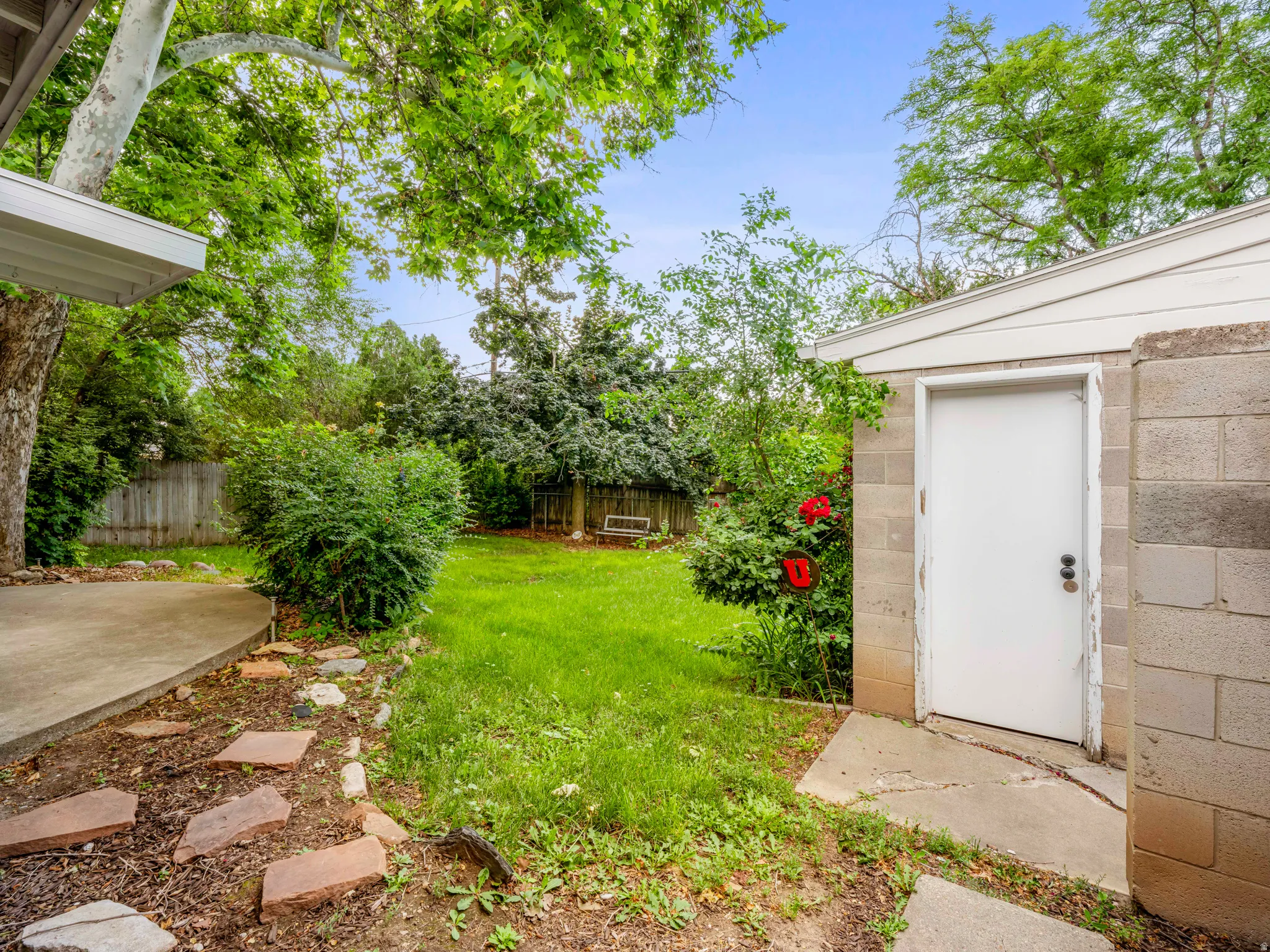 View of fenced backyard