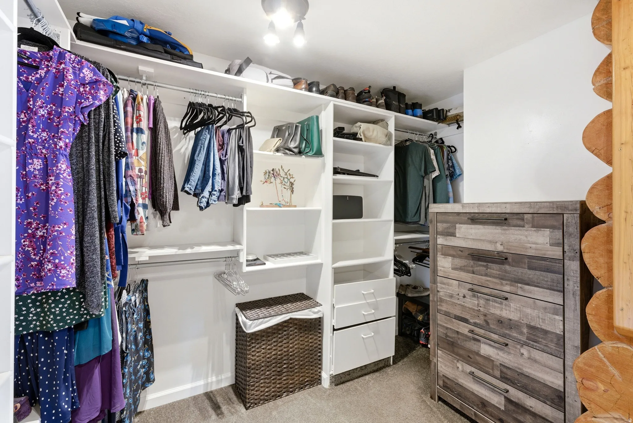 Walk in closet with light carpet