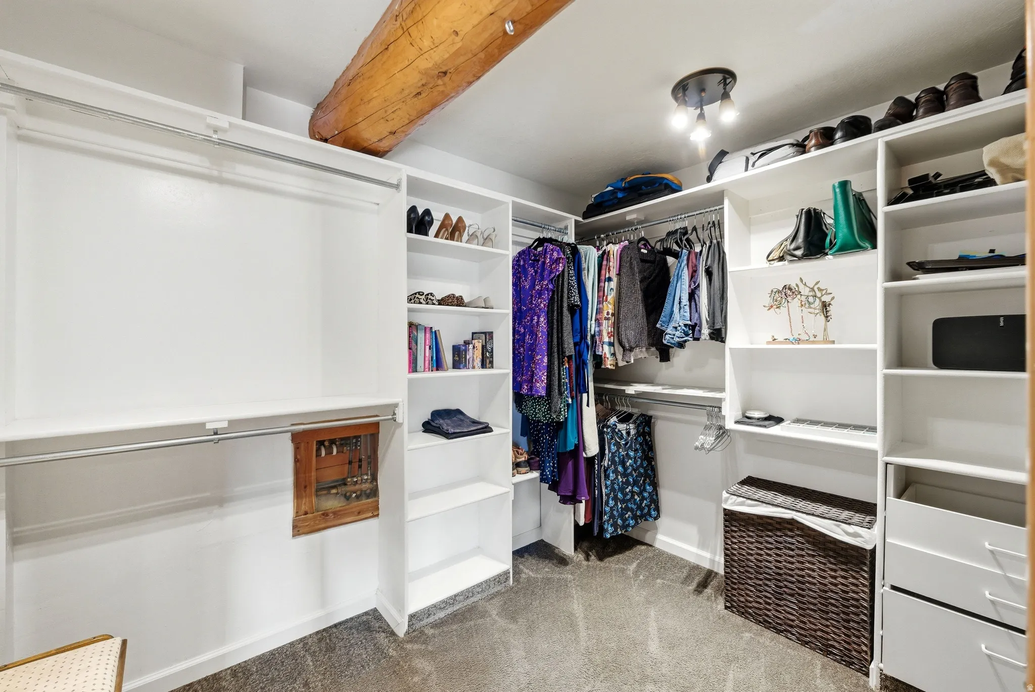 Walk in closet with light carpet