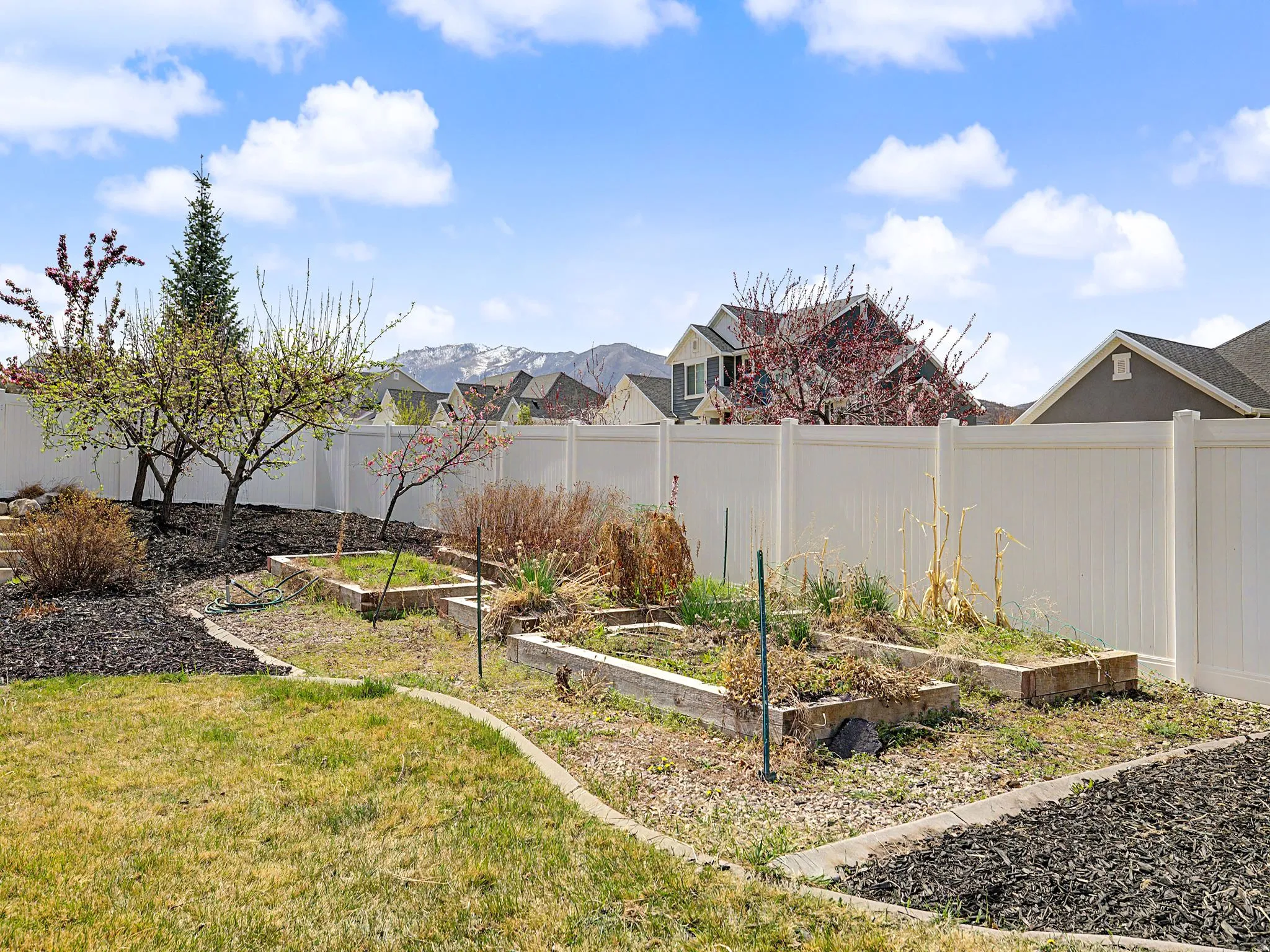 Fenced backyard featuring a garden