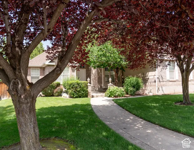 899 E 800 S, Springville, Utah 84663