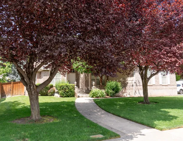 899 E 800 S, Springville, Utah 84663