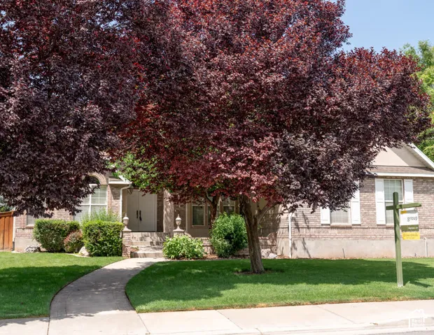 899 E 800 S, Springville, Utah 84663