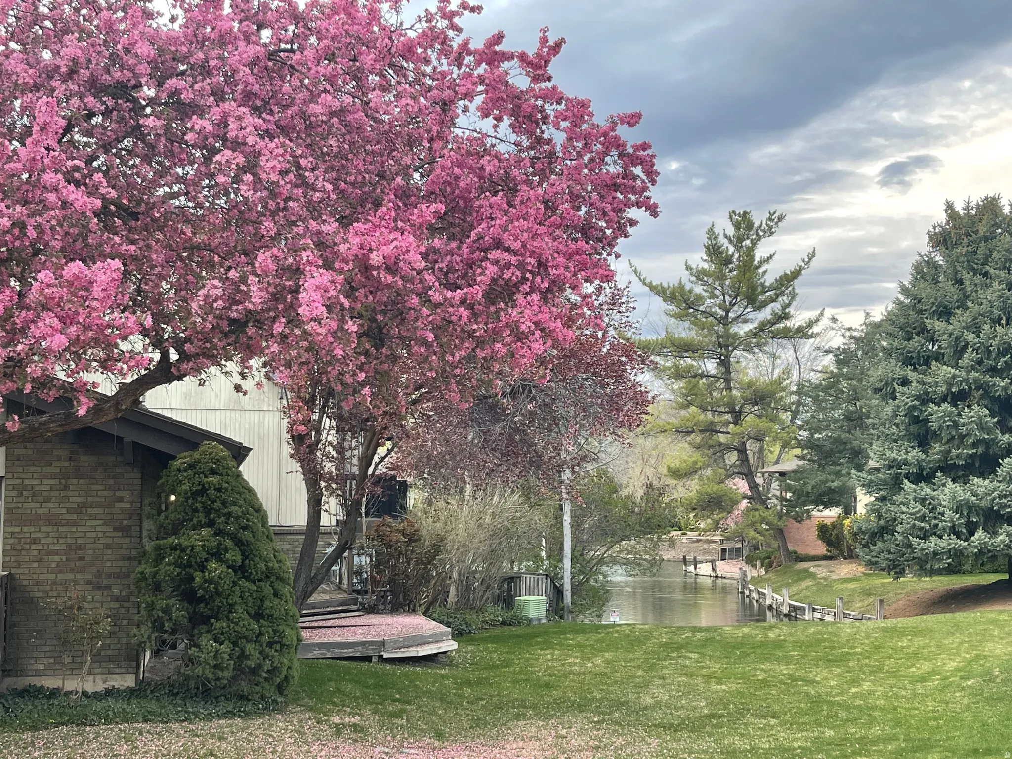 View of beautiful spring environment with ope green lawn and water view