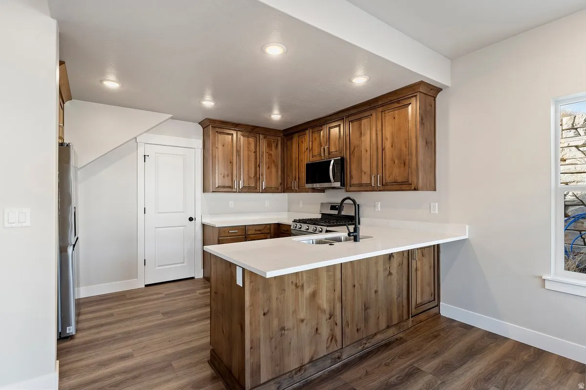 Kitchen with dark wood-style floors, a peninsula, wood finish cabinetry, stainless steel appliances, and recessed lighting