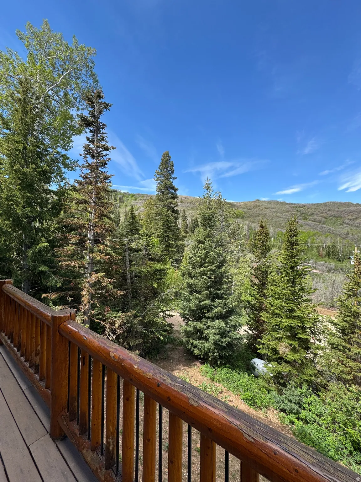 Deck with natural wood railing and wood-finish flooring