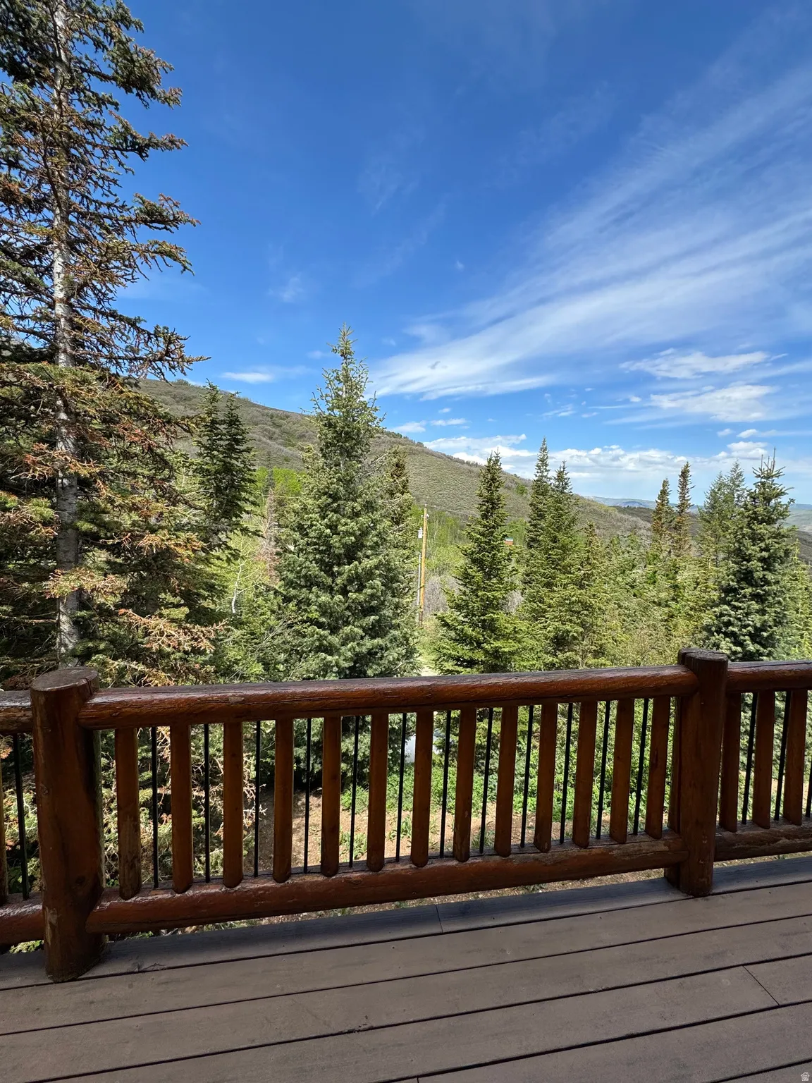 Expansive outdoor deck with wood-finish flooring and a log-style railing