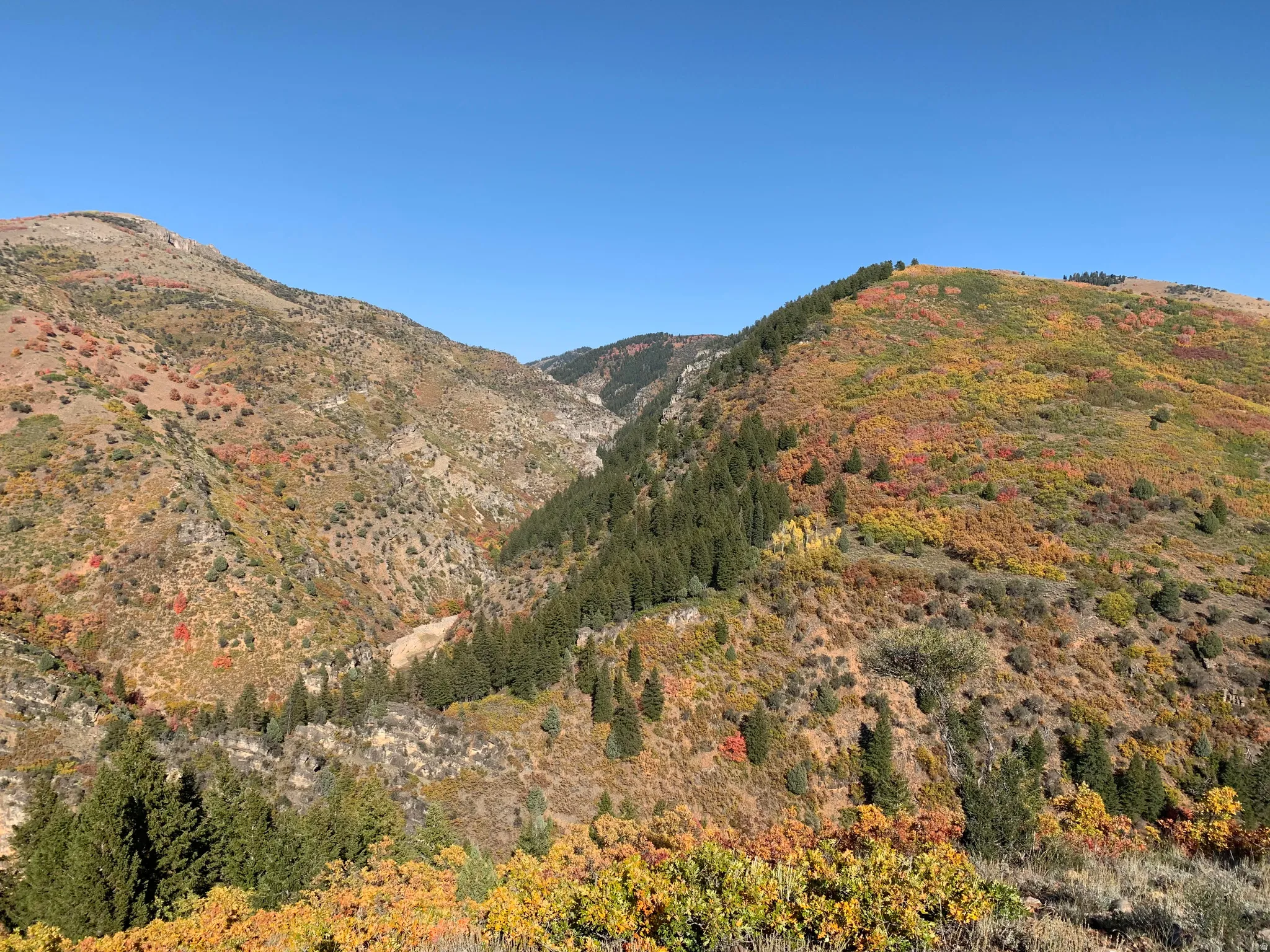 View of mountain backdrop
