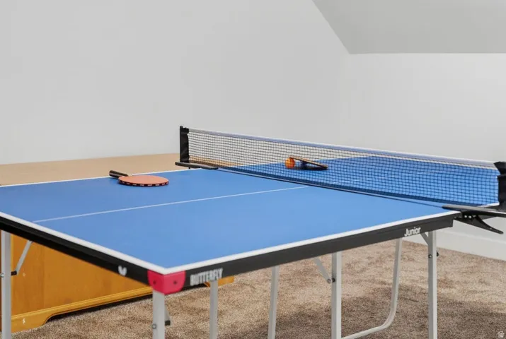 Playroom featuring carpet flooring