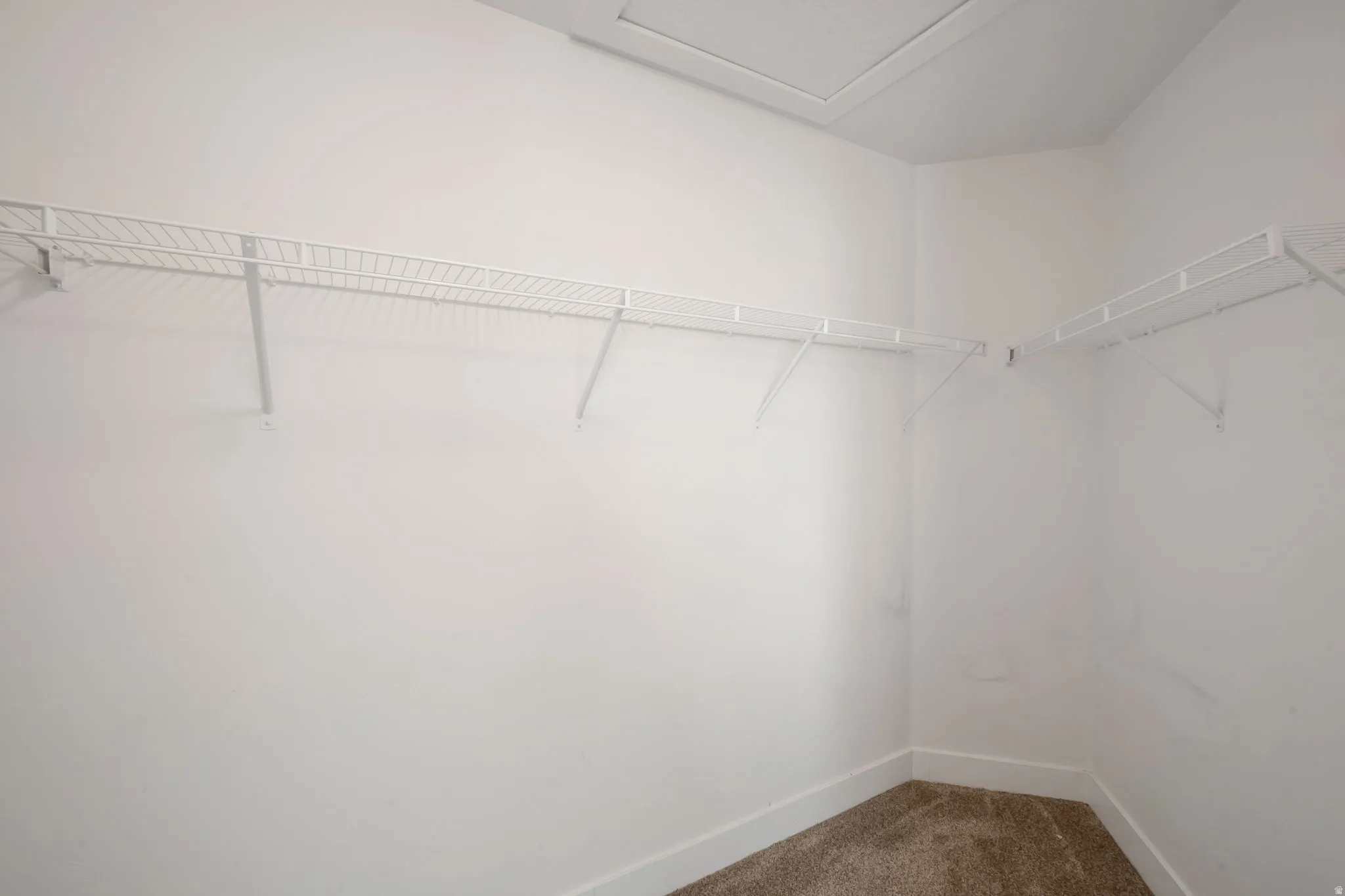 Spacious closet featuring white wire shelving, white painted walls, and brown carpet flooring