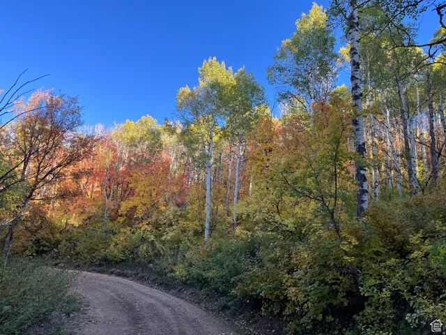 28 Moose Horn Rd, Coalville, Utah 84017