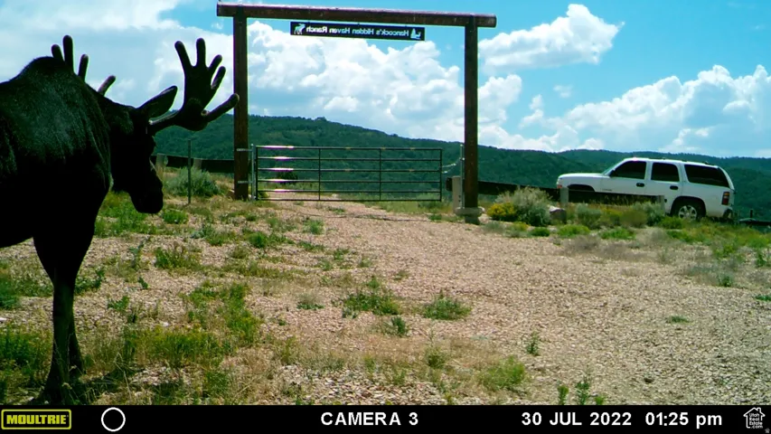 28 Moose Horn Rd, Coalville, Utah 84017
