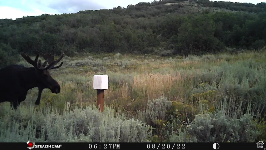 28 Moose Horn Rd, Coalville, Utah 84017