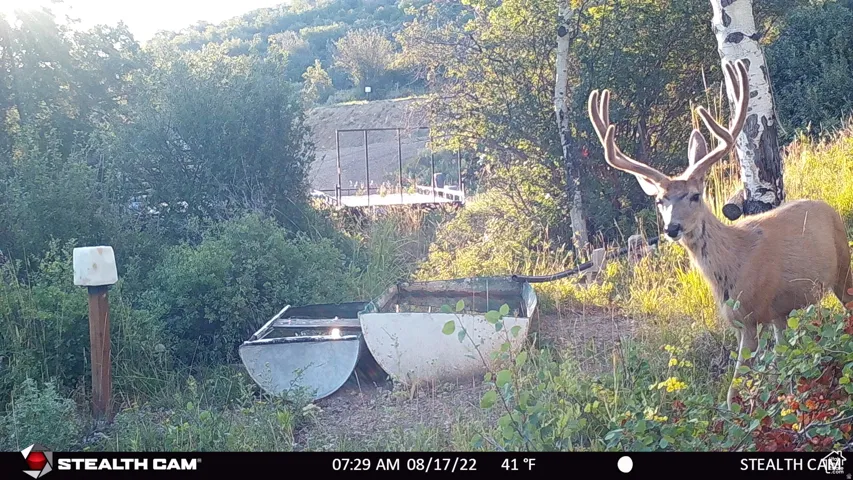 28 Moose Horn Rd, Coalville, Utah 84017