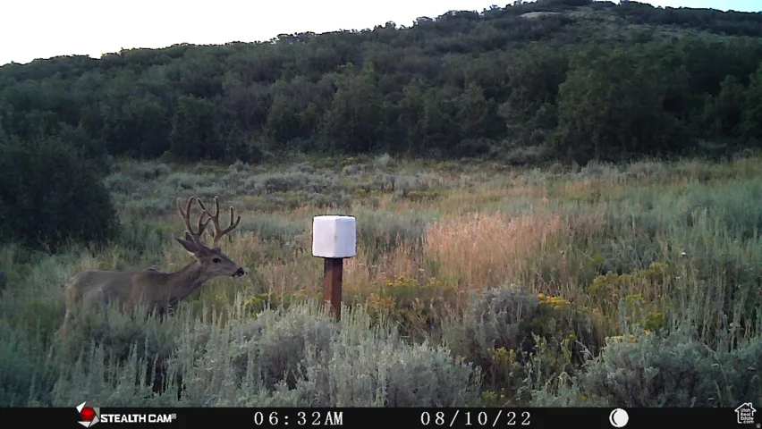 28 Moose Horn Rd, Coalville, Utah 84017