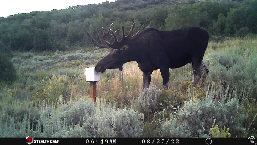 28 Moose Horn Rd, Coalville, Utah 84017