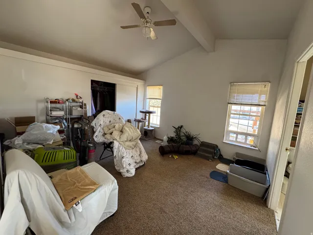 Vaulted ceilings featuring an exposed beam, a ceiling fan, and two windows with blinds