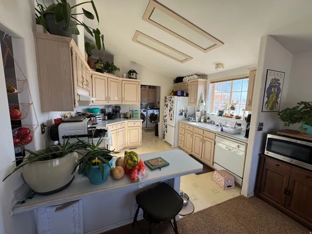Kitchen featuring light-finish cabinetry, a double basin sink, and a built-in dishwasher