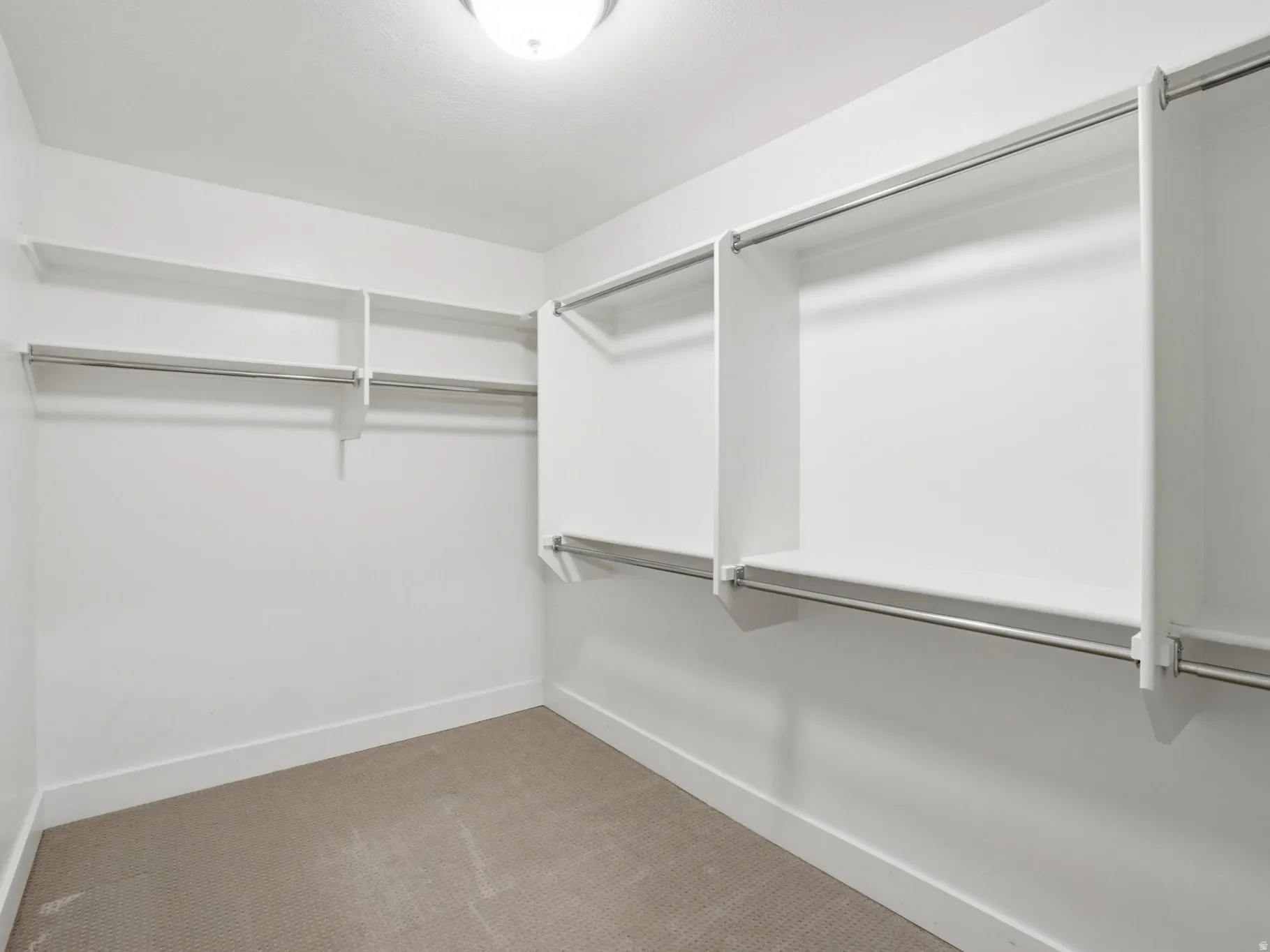 Walk in closet with carpet floors