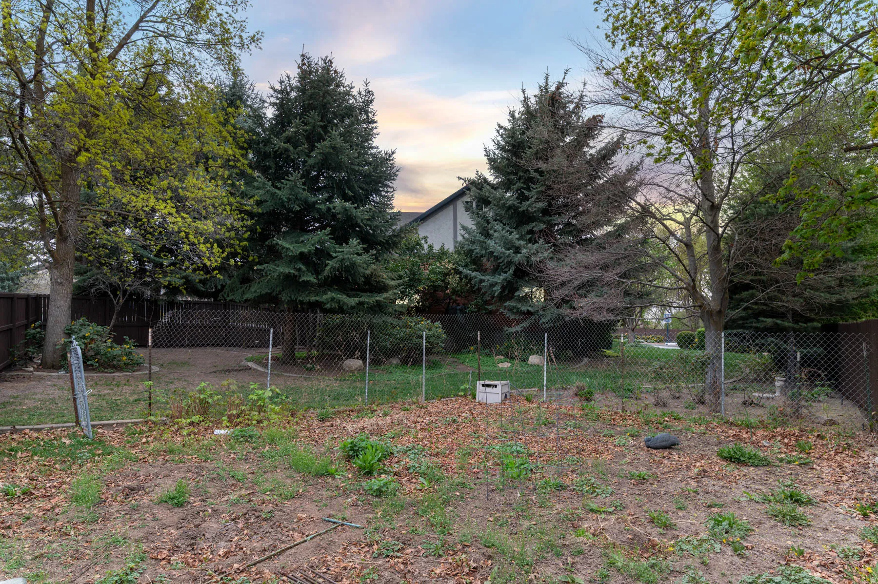 View of yard at dusk