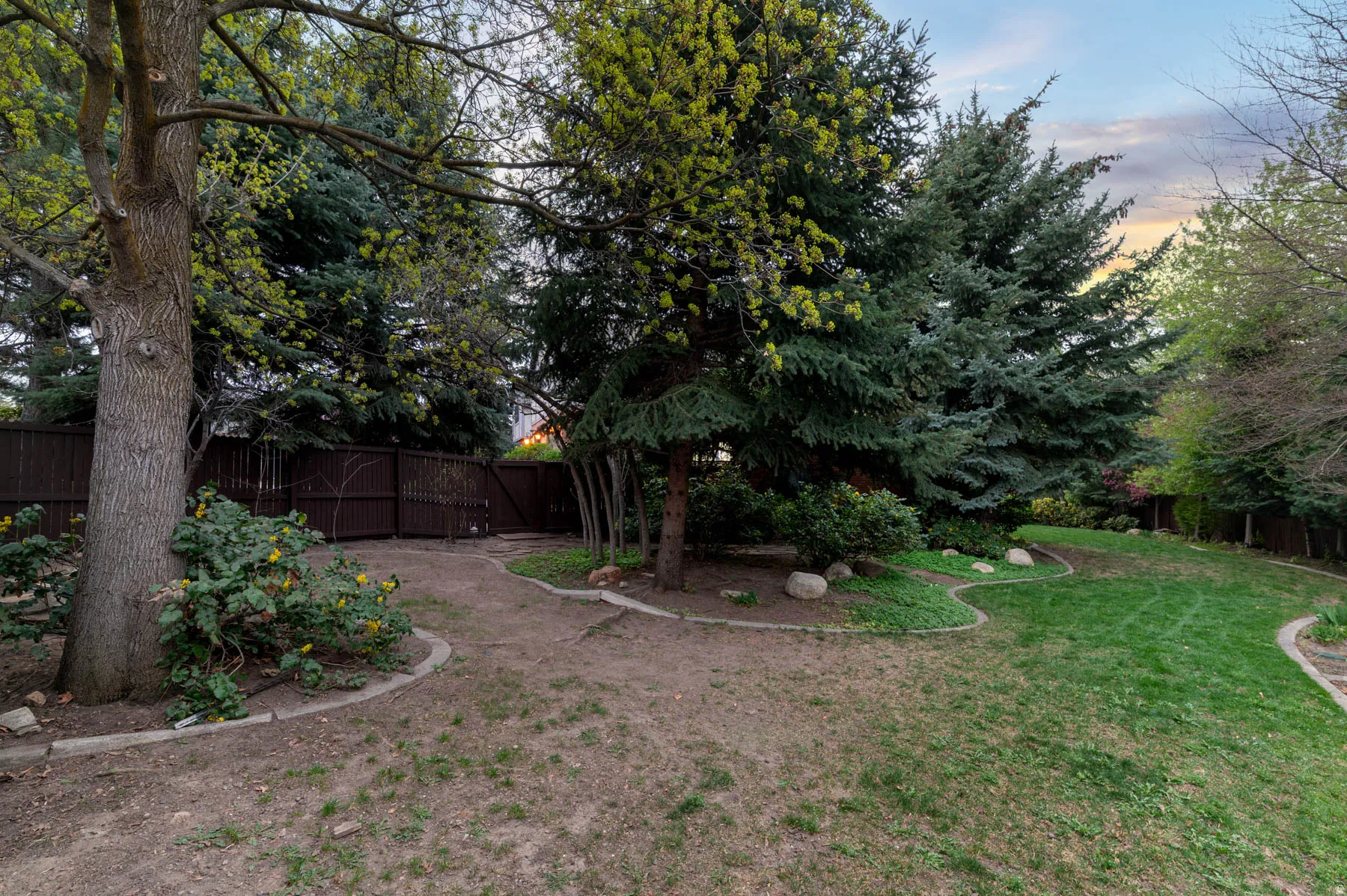 View of fenced backyard