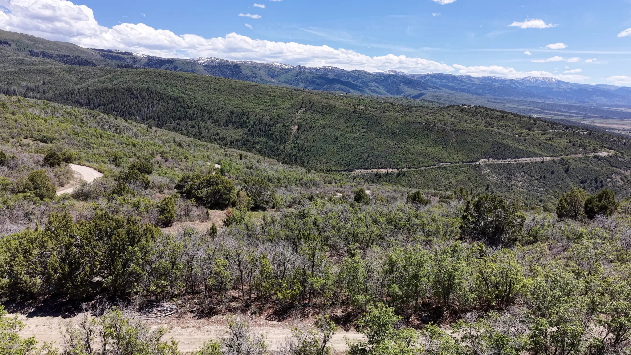 Expansive undeveloped land featuring diverse natural vegetation, a winding dirt road, distant mountain ranges with snow-capped peaks, and a broad valley
