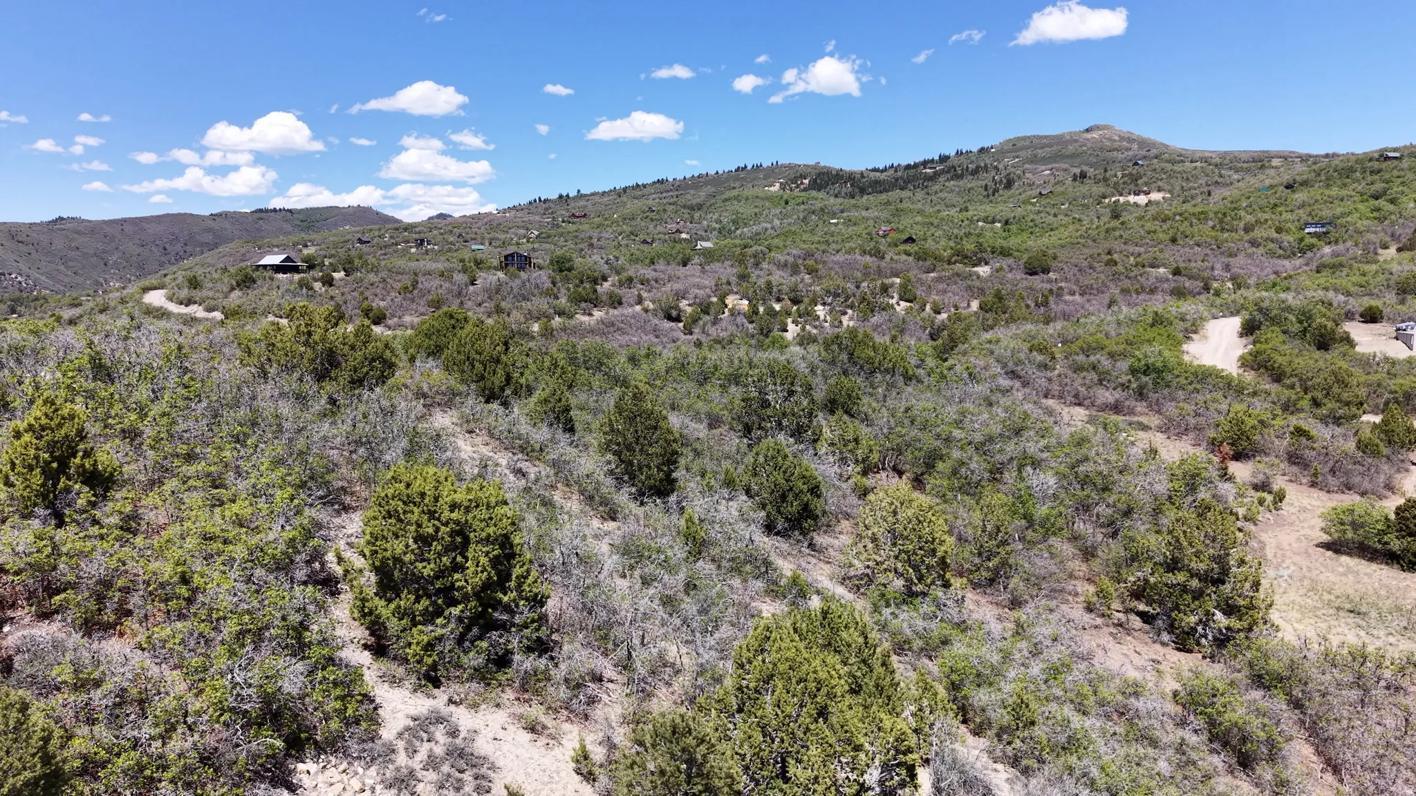 Expansive acreage featuring natural shrubland and scattered evergreen trees
