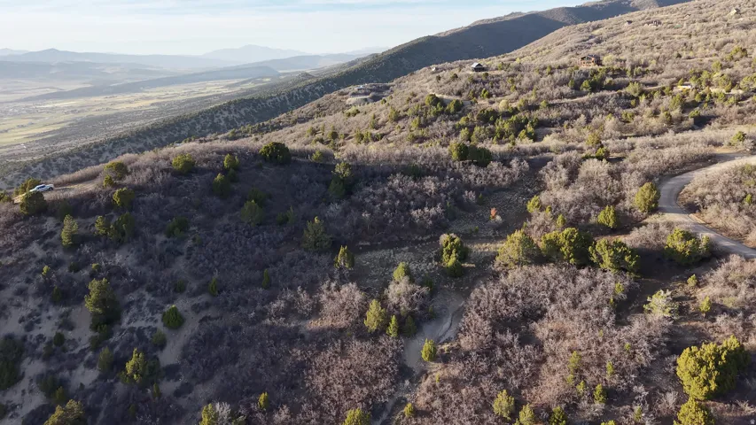 Expansive mountain terrain with varied natural flora