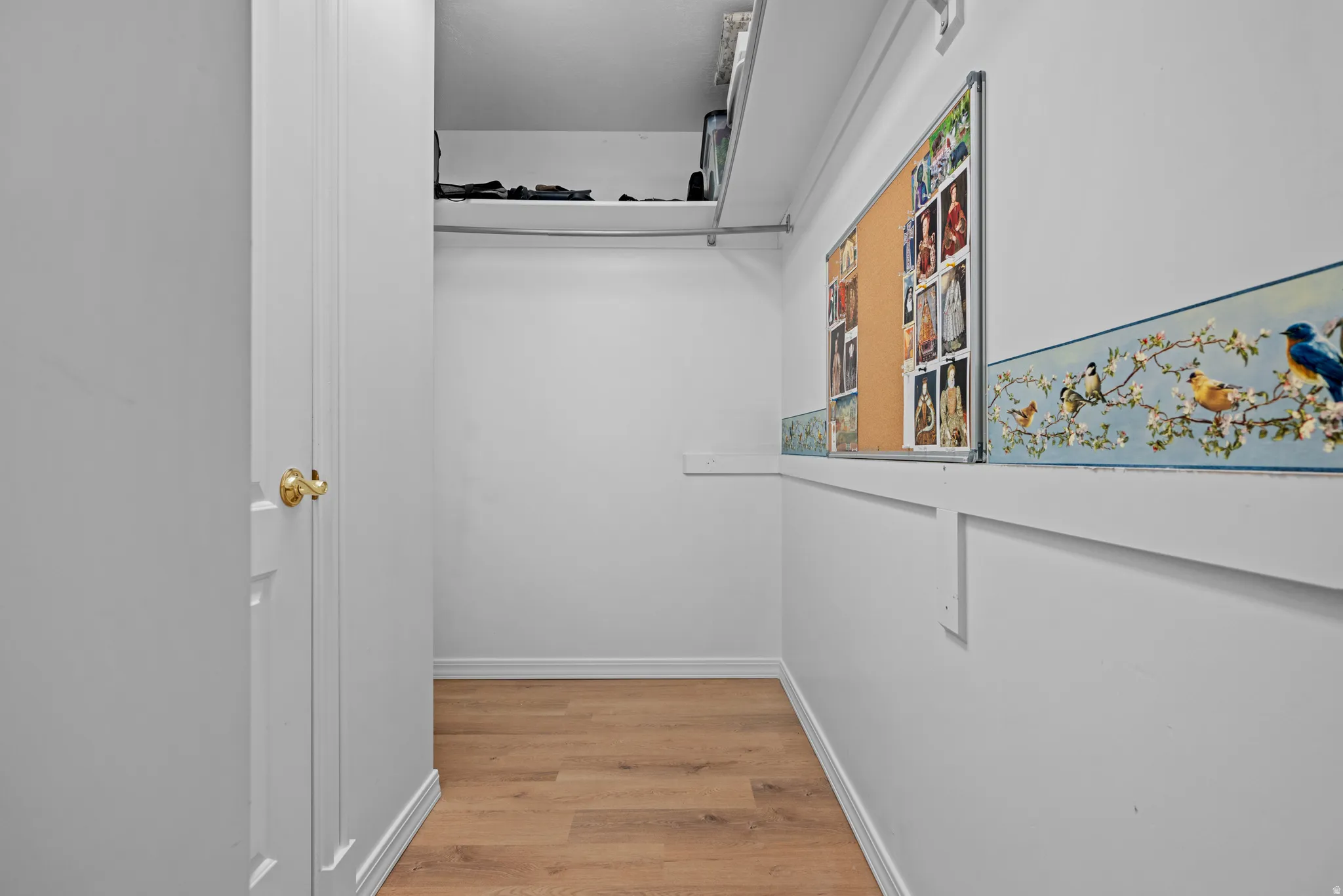 Walk in closet with light wood finished floors