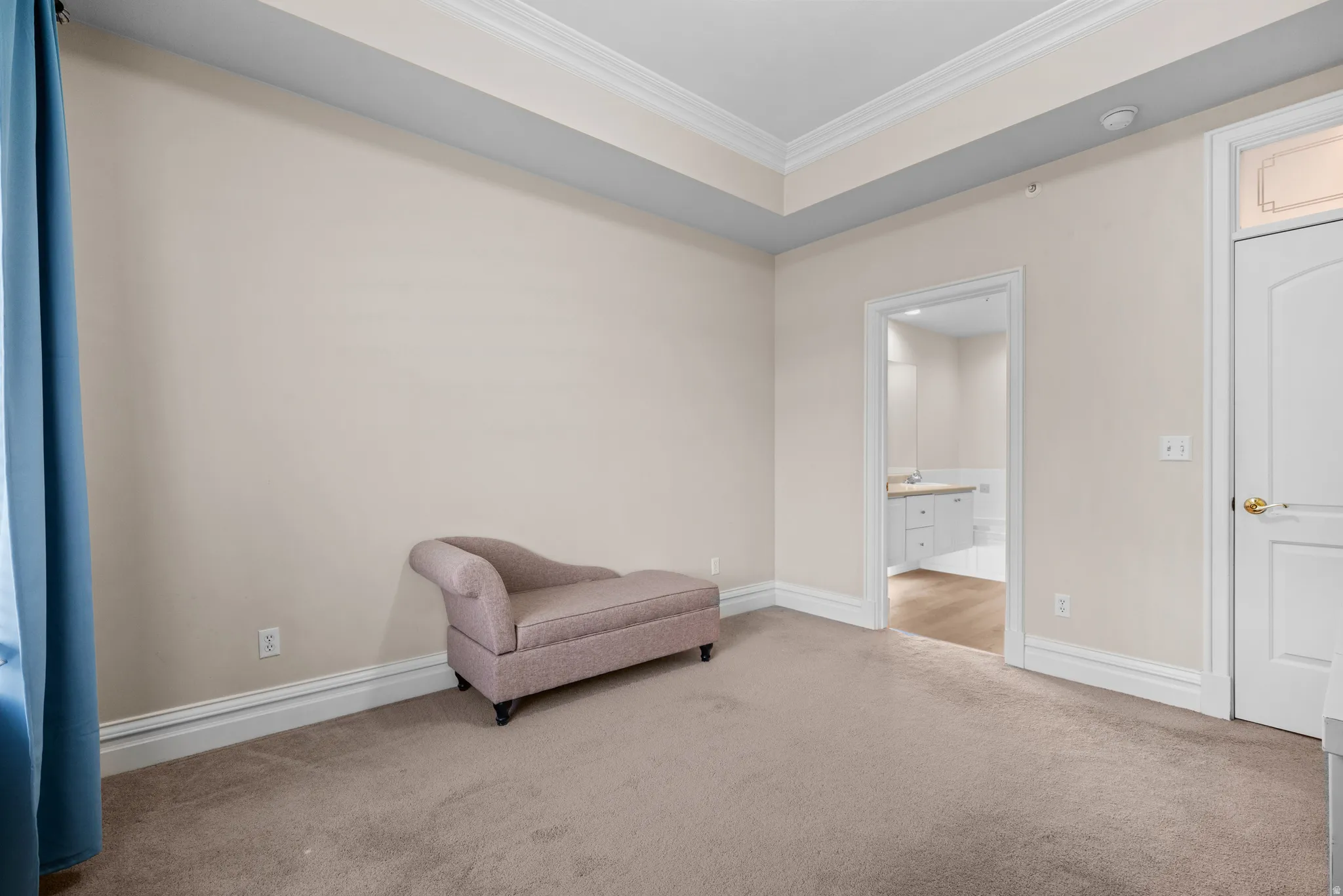 Sitting room featuring carpet and ornamental molding