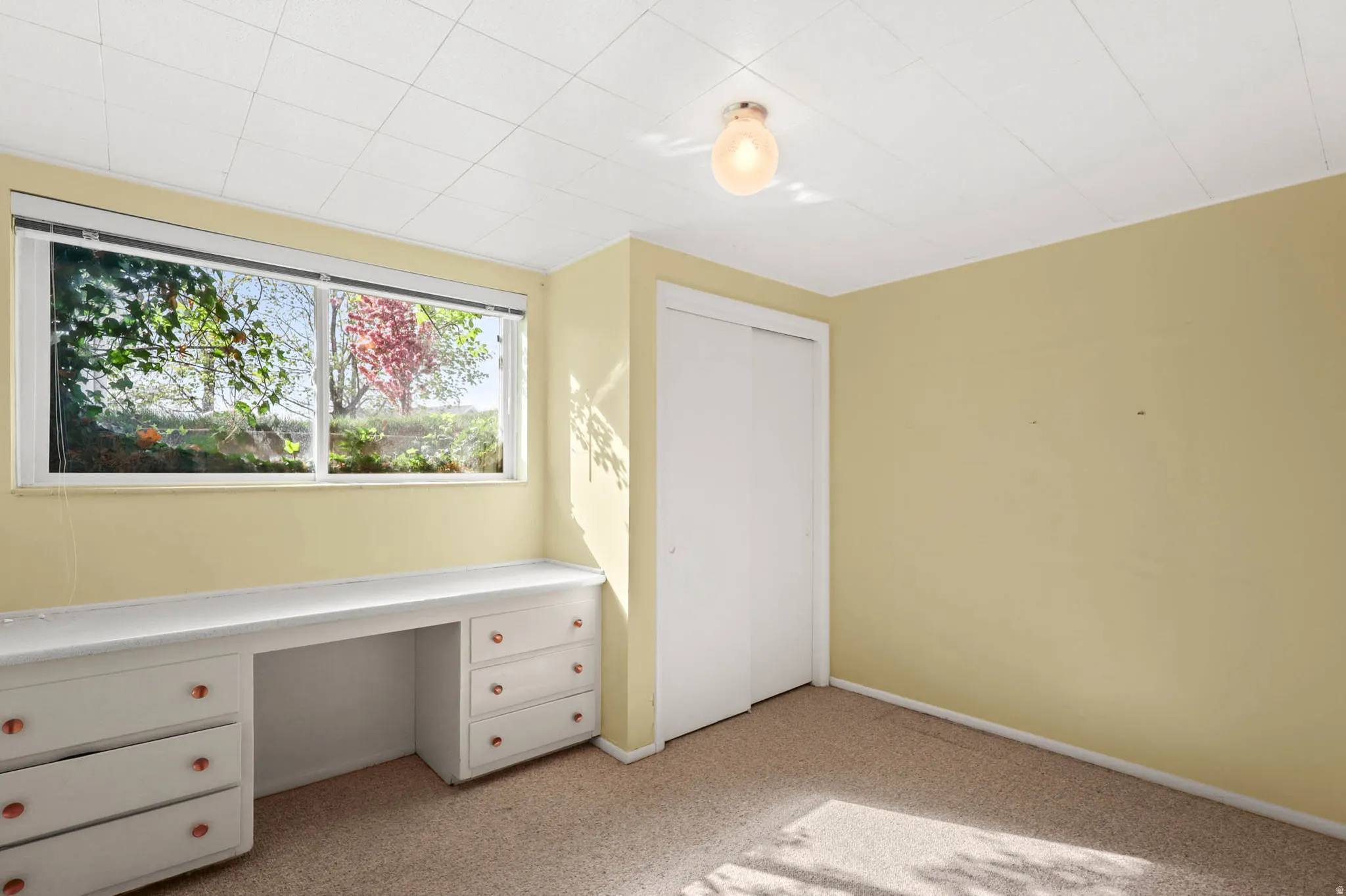 Downstairs bedroom
