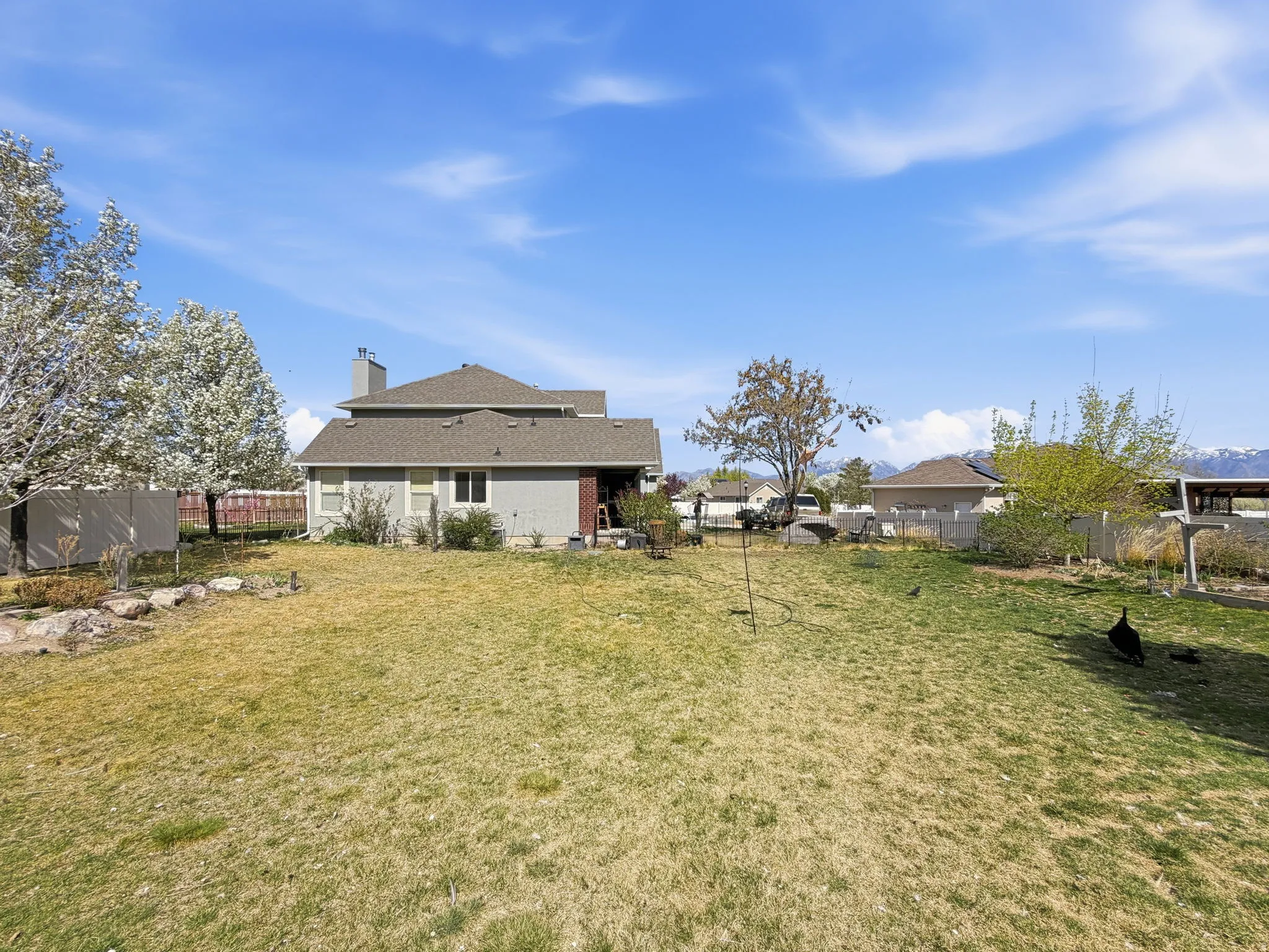 View of fenced backyard