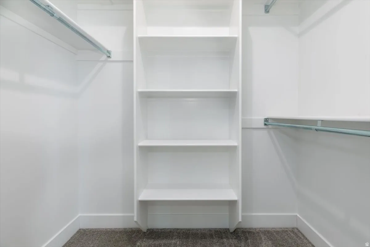 Walk in closet featuring carpet floors
