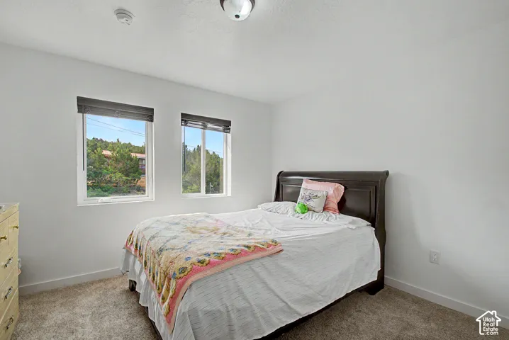 Bright interior space featuring two windows with roller shades, light neutral wall paint, and gray carpet flooring